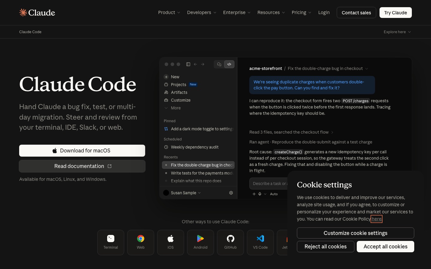 Claude Code homepage screenshot