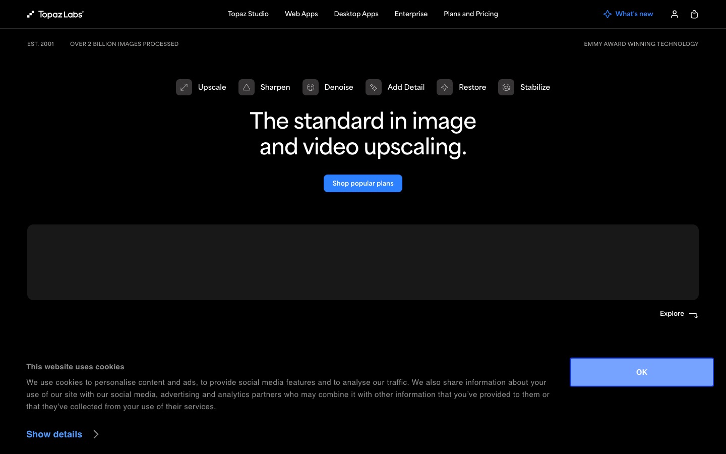 Topaz Labs homepage screenshot